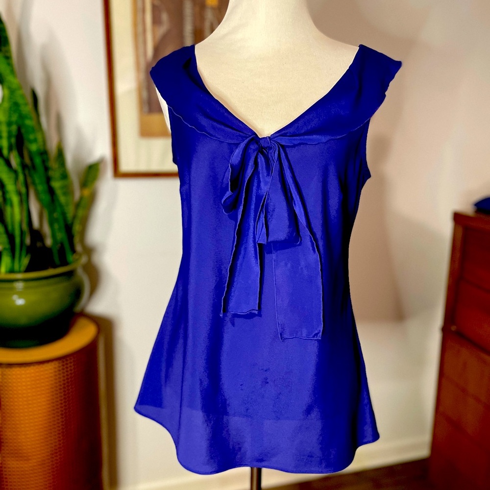 Sapphire Blue Banana Republic blouse